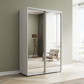 Шкаф-купе Акцент-Сим З 1000-600 в Агрызе - agryz.mebel24.online | фото 3
