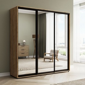 Шкаф-купе Акцент-Сим З 2100-600 в Агрызе - agryz.mebel24.online | фото 4