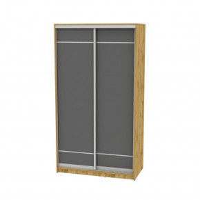 Шкаф-купе B-220х120х60-2 "Белла" в Агрызе - agryz.mebel24.online | фото 19