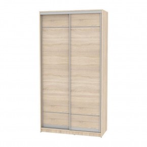 Шкаф-купе B-220х120х60-2 "Белла" в Агрызе - agryz.mebel24.online | фото 4