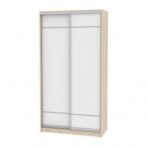 Шкаф-купе B-220х120х60-2 "Белла" в Агрызе - agryz.mebel24.online | фото 5