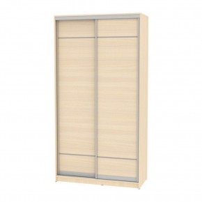 Шкаф-купе B-220х120х60-2 "Белла" в Агрызе - agryz.mebel24.online | фото 9