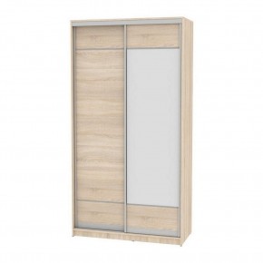 Шкаф-купе B-220х120х60-2 "Белла" (D7D8) в Агрызе - agryz.mebel24.online | фото