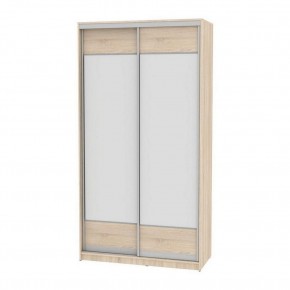 Шкаф-купе B-220х120х60-2 "Белла" (D8D8) в Агрызе - agryz.mebel24.online | фото