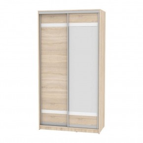 Шкаф-купе B-220х120х60-2 "Белла" (D9D10) в Агрызе - agryz.mebel24.online | фото