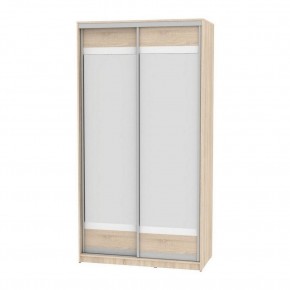 Шкаф-купе B-220х120х60-3 "Белла" (D10D10) в Агрызе - agryz.mebel24.online | фото