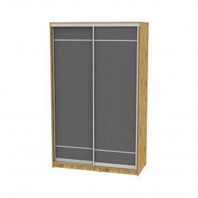 Шкаф-купе B-220х135х60-2 "Белла" в Агрызе - agryz.mebel24.online | фото 19