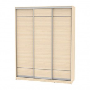 Шкаф-купе B-220х180х60-2 "Белла" в Агрызе - agryz.mebel24.online | фото 9