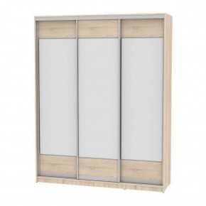 Шкаф-купе B-220х200х60-2 "Белла" (D8D8D8) в Агрызе - agryz.mebel24.online | фото