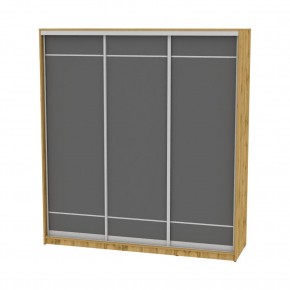 Шкаф-купе B-220х200х60-3 "Белла" в Агрызе - agryz.mebel24.online | фото 19