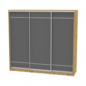 Шкаф-купе B-220х235х60-1 "Белла" в Агрызе - agryz.mebel24.online | фото 3