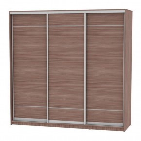Шкаф-купе B-220х235х60-2 "Белла" в Агрызе - agryz.mebel24.online | фото 10