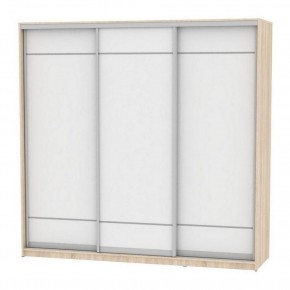 Шкаф-купе B-220х235х60-2 "Белла" в Агрызе - agryz.mebel24.online | фото 5