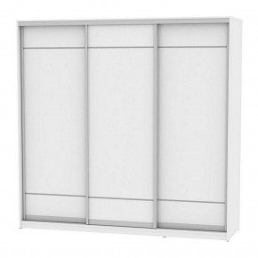 Шкаф-купе B-220х235х60-2 "Белла" в Агрызе - agryz.mebel24.online | фото 6