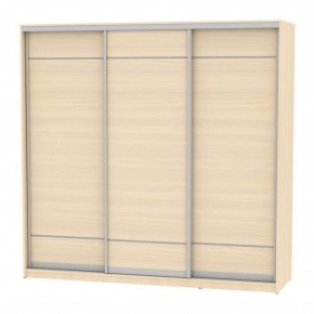 Шкаф-купе B-220х235х60-2 "Белла" в Агрызе - agryz.mebel24.online | фото 9