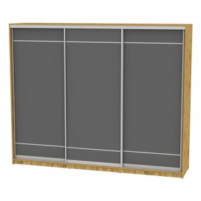 Шкаф-купе B-220х270х60-2 "Белла" в Агрызе - agryz.mebel24.online | фото 19