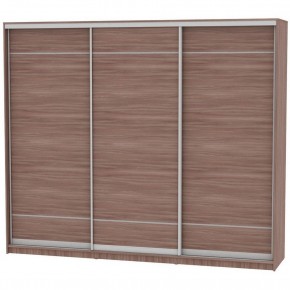 Шкаф-купе B-220х270х60-3 "Белла" в Агрызе - agryz.mebel24.online | фото 10