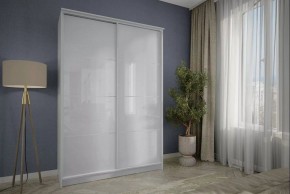 Шкаф-купе Байкал-2 в Агрызе - agryz.mebel24.online | фото 3