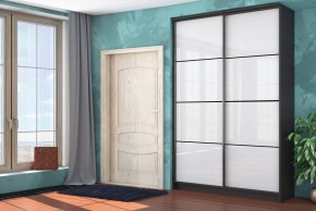Шкаф-купе Байкал-2 СТЛ.268.11 в Агрызе - agryz.mebel24.online | фото 3