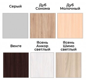 Шкаф-купе ХИТ 22-17-66 (620) в Агрызе - agryz.mebel24.online | фото 3