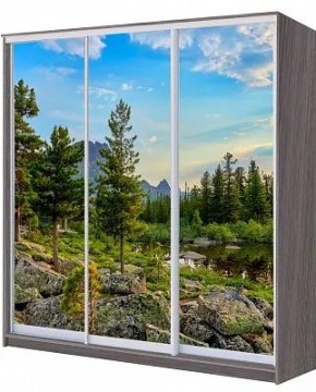 Шкаф-купе ХИТ 22-20/2-777 ПРИРОДА в Агрызе - agryz.mebel24.online | фото