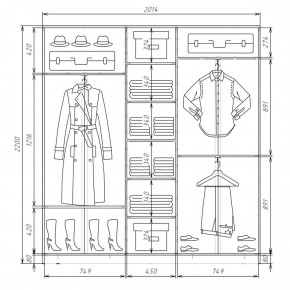 Шкаф-купе ХИТ 22-4-20-151 (420) в Агрызе - agryz.mebel24.online | фото 2