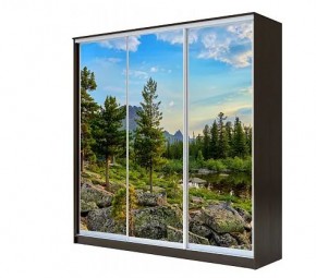 Шкаф-купе ХИТ 22-4-20-777 (420) в Агрызе - agryz.mebel24.online | фото