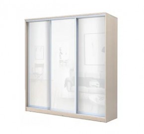 Шкаф-купе ХИТ 22-4-20-888 (420) в Агрызе - agryz.mebel24.online | фото 4