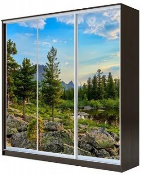 Шкаф-купе ХИТ 23-20-777 ПРИРОДА в Агрызе - agryz.mebel24.online | фото