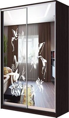 Шкаф-купе ХИТ 23-4-12/2-66 КОЛИБРИ в Агрызе - agryz.mebel24.online | фото