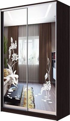 Шкаф-купе ХИТ 23-4-14-66 ЦАПЛИ в Агрызе - agryz.mebel24.online | фото