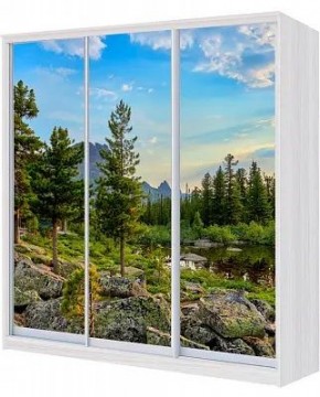 Шкаф-купе ХИТ 23-4-20/2-777 ПРИРОДА в Агрызе - agryz.mebel24.online | фото