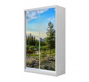Шкаф-купе ХИТ 24-12/2-77 (620) в Агрызе - agryz.mebel24.online | фото