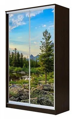 Шкаф-купе ХИТ 24-17-77 ПРИРОДА в Агрызе - agryz.mebel24.online | фото