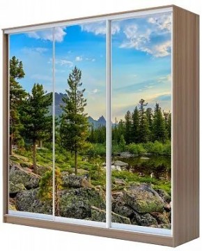 Шкаф-купе ХИТ 24-20/2-777 ПРИРОДА в Агрызе - agryz.mebel24.online | фото