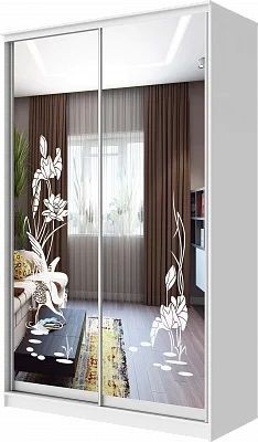 Шкаф-купе ХИТ 24-4-15-66 ЦАПЛИ в Агрызе - agryz.mebel24.online | фото