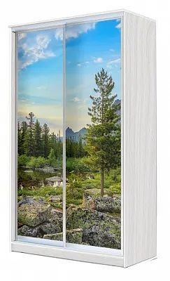 Шкаф-купе ХИТ 24-4-15-77 ПРИРОДА в Агрызе - agryz.mebel24.online | фото