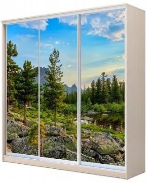Шкаф-купе ХИТ 24-4-20-777 ПРИРОДА в Агрызе - agryz.mebel24.online | фото