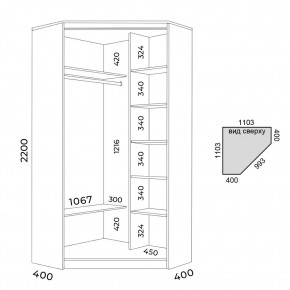 Шкаф-купе ХИТ-У-22-4-15 в Агрызе - agryz.mebel24.online | фото 2
