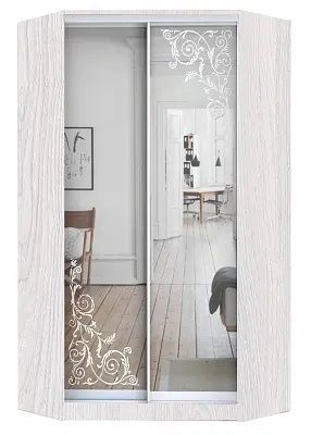 Шкаф-купе ХИТ-У-24-4-66 ОРНАМЕНТ в Агрызе - agryz.mebel24.online | фото