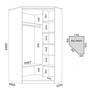 Шкаф-купе ХИТ-У-L-22-64-15 в Агрызе - agryz.mebel24.online | фото 2