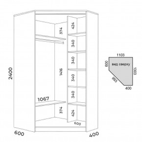 Шкаф-купе ХИТ-У-L-24-64-15 в Агрызе - agryz.mebel24.online | фото 3
