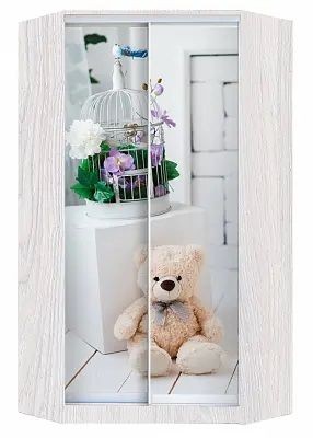 Шкаф-купе ХИТ-У-L-24-64-77 МИШКА В ИНТЕРЬЕРЕ в Агрызе - agryz.mebel24.online | фото