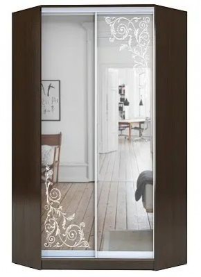 Шкаф-купе ХИТ-У-R-22-64-66 ОРНАМЕНТ в Агрызе - agryz.mebel24.online | фото