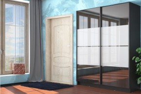 Шкаф-купе Марвин-3 СТЛ.299.05 в Агрызе - agryz.mebel24.online | фото 3