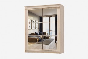 Шкаф-купе Орион 2.0 серия Альянс (дуб сонома) в Агрызе - agryz.mebel24.online | фото