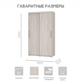 Шкаф-купе ШКК-11 (ясень белый) в Агрызе - agryz.mebel24.online | фото 7