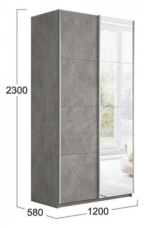 Шкаф-купе Траст СШК 2.120.60-11.13 в Агрызе - agryz.mebel24.online | фото 3