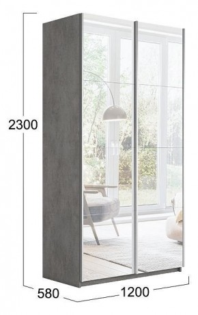 Шкаф-купе Траст СШК 2.120.60-13.13 в Агрызе - agryz.mebel24.online | фото 3