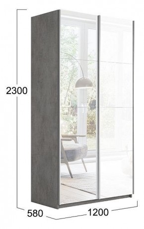 Шкаф-купе Траст СШК 2.120.60-13.15 в Агрызе - agryz.mebel24.online | фото 3